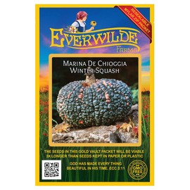 Everwilde Farms - 10 Marina de Chioggia Winter Squash Seeds - Gold Vault Jumbo Seed Packet