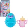 Hatchimals Alive Surprise Pack - with a Self-Hatching Egg with