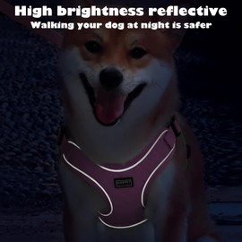 Dog Harness Breathable Vest, Step-in Puppy Harness and Lead Sets, Adjustable Reflective Anti Pull Soft Mesh Padded Puppy Leash for Small Medium Dogs Training or Walking(Pink,L)