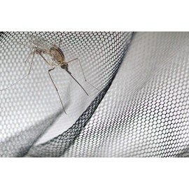 Window Mosquito Net Fly Screen Window Fly Protection 130 x 150 Set of 4, Black Anthracite