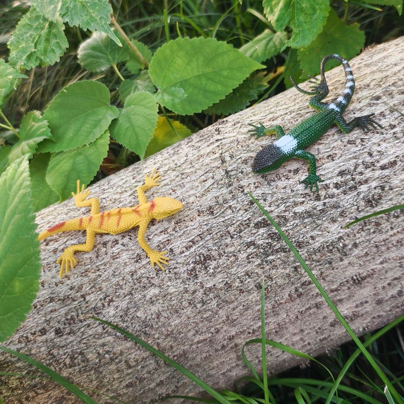 12pcs Realistic Lizard Model Toy Animal Figures Educational Reptile Model
