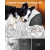 blunique Calming Small Dog Bed for Couch, 35 x 31