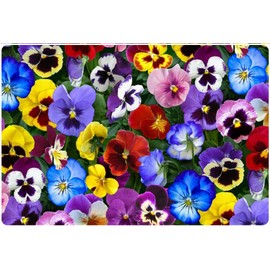 Andreas Silicone TRC-14 Pansies Non-Slip Casserole Trivet/Pot Holder/Hot Pad, 100% Cotton, Dishwasher Safe, Hot Dishes, Protect Hair Iron, Safe up to 600°F