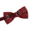 TIE G Men's Glitter Velvet Bow Tie + Pocket Square