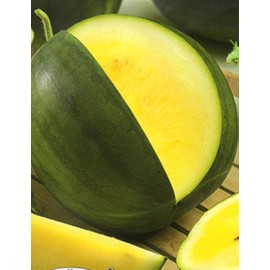 Seeds Rare Watermelon Yellow (Not Seedless) Berries Fruits Vegetable Heirloom Ukraine for Planting Non GMO