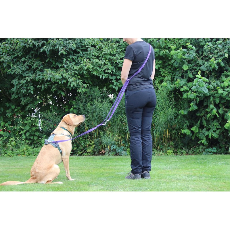 Activity4Dogs Non-Slip Nylon Dog Lead, Non-Slip, 2.80 m Long, 4-Way