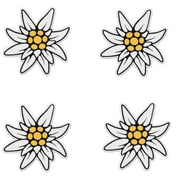 Pack of 4-3 Inch Stickers - Edelweiss Flower Alps - Vinyl Sticker - for Car Laptop Water Bottle Phone - Waterproof Decal - Sticker Graphic Decal
