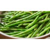 TomorrowSeeds Blue Lake 274 Green Bean Seeds (Bush) | Stringless
