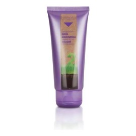 Grapeology 2 Mask 200ml Salerm Acondicionador Hidratante