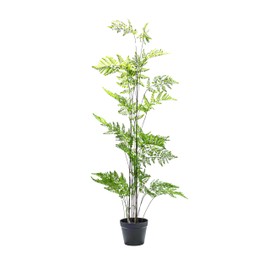 Creative Co-Op Faux Fern Tree in Plastic Pot, Green