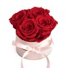Rosmarie Schulz Heidelberg Rose Box, White Round Infinity Rose, Flower