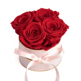 Rosmarie Schulz Heidelberg Rose Box, White Round Infinity Rose, Flower Box Preserved Rose