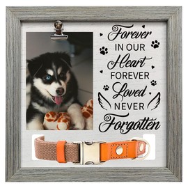 FINGERINSPIRE Pet Memorial Picture Frame 23x23cm Forever in our Heart Forever Loved Never Forgotten Pet Picture Frames with Photo Clip & Collar Holder Wood Gifts Frame for Dogs Cat Pets that Passed