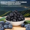 SYZJMWDY Wild Dried Blueberries, Unsweetened 7.05oz (200g) - All Natural