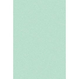 BDF 4SPMT Decorative Window Film Sparkling Frost Mint Opaque Privacy - 47in X 12ft
