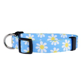 Native Pup Flower Dog Collar, Adjustable Small Medium Large, Cute Girl Female Summer Spring Pretty Designer Puppy Essentials Accessories, Pink Floral Blue Daisy Rose (Large, Blue Daisy)