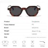 WDZAYXC Retro Chunky Hexagon Sunglasses for Men and Women Trendy