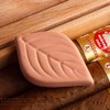 1Pc Sugar Keeper Saver for Keeping Moist Fresh Reusable Leaf