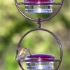 Nvanvmm Beautiful Circular Hanging, Outdoor Hanging Humming Ant and Bee