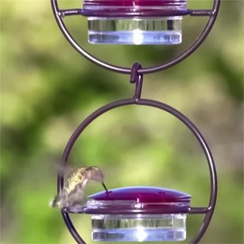 Nvanvmm Beautiful Circular Hanging, Outdoor Hanging Humming Ant and Bee Proof (2Pcs) Easy to Use