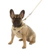 Kerbl Puppy Harness with Rope, 30-50 cm/10 mm, Beige