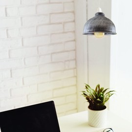 Metal Lamp Shades Living Room Ceiling Pendant Light Shade 21cm Easy Fit Lampshades Only for Industrial Ceiling Light Fitting Bedroom, Kitchen(Free Reducer Plate)