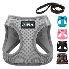 PINA Dog Harness for Small Dogs No Pull, Small Dog Harness and Leash Set, No Choke Breathable Mesh Dog Vest Harness, Lightweight Adjustable Small Medium Dog Harness - Easy to Put On and Take Off