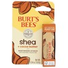 Burts Bees - Bálsamo labial de manteca de cacao y