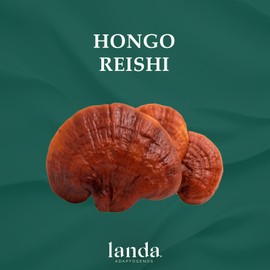 LANDA | Extracto Liquido de Hongo Reishi 30 ml | Alta Concentración 10:1 | Refuerzo Inmunológico | Extracto líquido de Hongo Reishi Ganoderma Lucidum