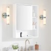 2 Pack 14 Inch LED Modern Wall Sconces Chrome Resin
