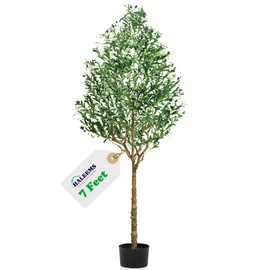 Artificial Olive Tree for Indoor Decor, Silk Faux Olive Tree (7 Feet) Featuring Realistic Leaves, Branches, and Fruits. Perfect for Home, Office, Studio, Living Rooms and Corridors