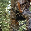 MDSTOP Heated Hunting Seat Cushion, Waterproof Seat Pads for Tree