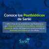 Belage Sanki Antioxidante Caja C/27 Sobres Sabor Lima Limón