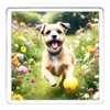 Border Terrier Dog Coaster Set. 4 different Border Terrier Dog