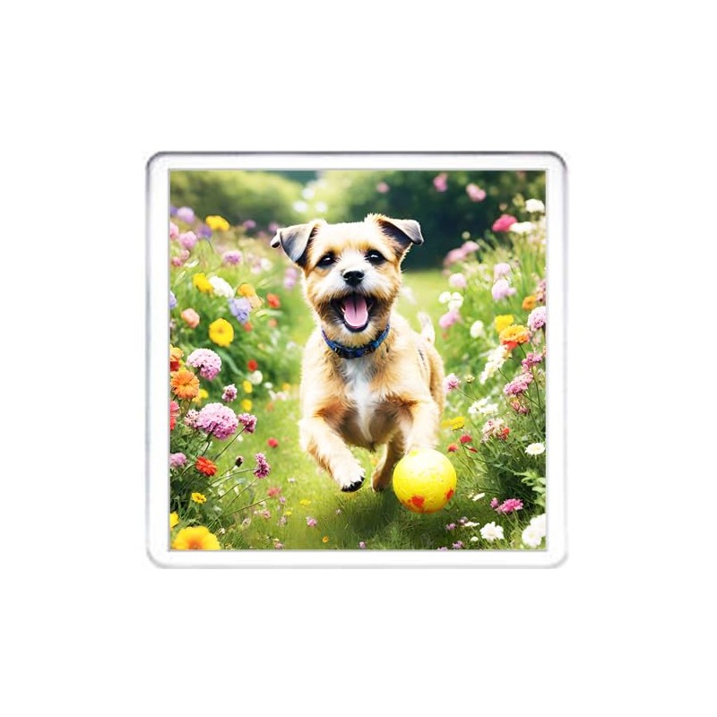 Border Terrier Dog Coaster Set. 4 different Border Terrier Dog