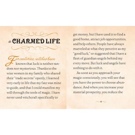 The Witches' Spell Book: For Love, Happiness, and Success