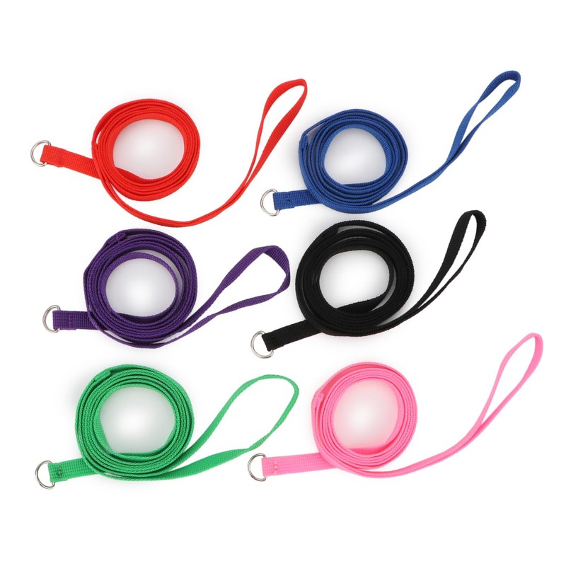 Hypeety 6 Pcs Bulk Pack Slip Leads Dog Pet Grooming