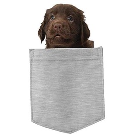 Retriever Flat-Coated Dog in Pocket Car Bumper Magnet, Magnetic for Refrigerator, Decorative Fridge, Office, Whiteboard, Kitchen, Locker Waterproof Decor, Family & Friends, 4x7 in