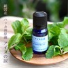 Survive Summer ★ Ainu Tears Natural Japanese Peppermint Oil [Solution
