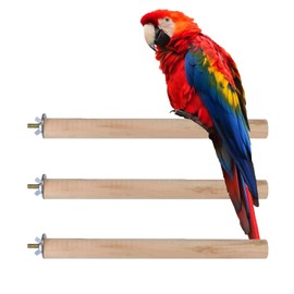 3PCS Bird Wood Perch Stick Stand Beak Paw Grinding Chew cage Accessories for Parrot Parakeet Cockatiel Lovebird Conure Cockatoo