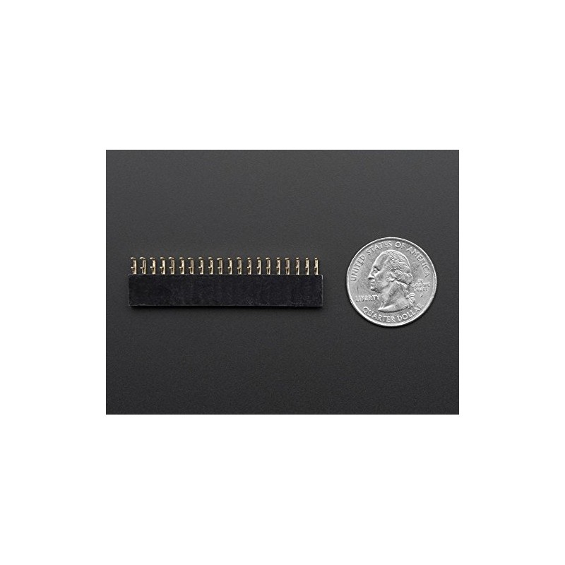 Adafruit 0.1" 2x20-pin Strip Right Angle Female Header [ADA2823]