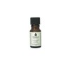 Lavender Pure Aromatherapy Essential Oil - 10Ml