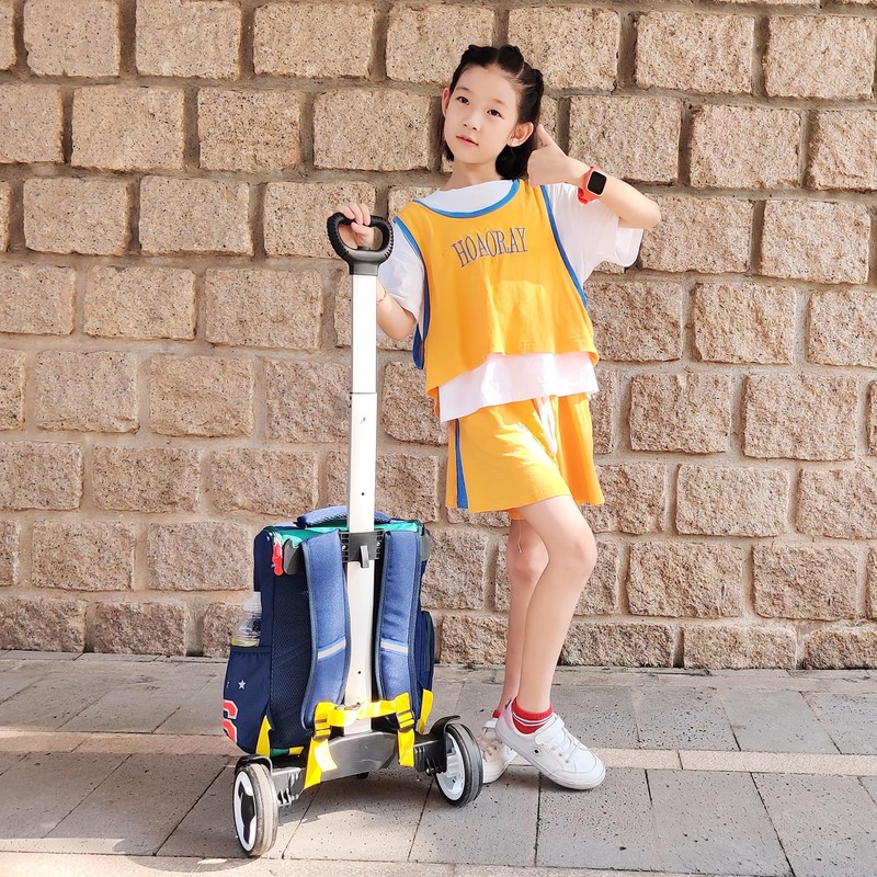 Backpack Trolley, Wheeled Cart with Noiseless Large Wheels Aluminium Alloy