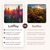 Organic Lupine Coffee | Classic Loffee - Caffeine-free Coffee -