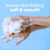 Softsoap Softsoap Moisturizing Body Wash Hawaiian Luau, Jasmine and Vanilla