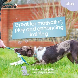 Coachi Puppy & Mini Tuggi Tug - Great for Tug & Play, Strong Dog Toy, Fun Reward Training, Great for Recall, Interrupt Biting & Chewing. Ideal For Agility, Suitable for Small Dogs & Puppies