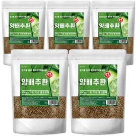 Domestic Cabbage Pills 500g (5 pieces) Small size pills that are easy on the stomach / 국산 양배추환 500g 5개 속이 편한 작은사이즈 환