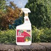 Bonide 8066 Captain Jack's Bacillus Thuringiensis BT Organic Worm &