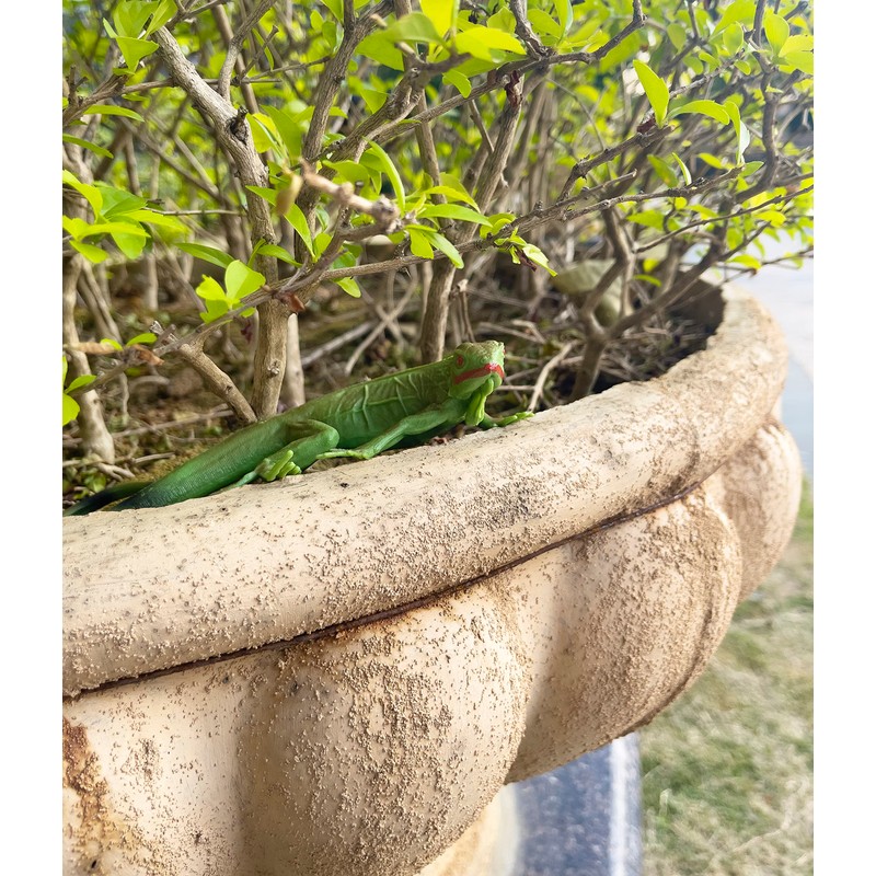 NAKIMO Iguana Animal Figurine Lizard Toy Realistic Reptile Figures for