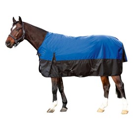 HKM Alberta 1219 Royal Blue / Black 135